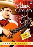 El Andante Caballero