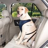 Guardian Gear Ride Right Car Harness Lrg Navy
