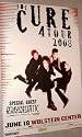 The Cure Poster - Concert Robert Smith Bloodflowers
