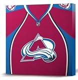 NHL Colorado Avalanche Dark Jersey Canvas Print (20 x 20)