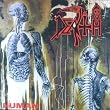 Human