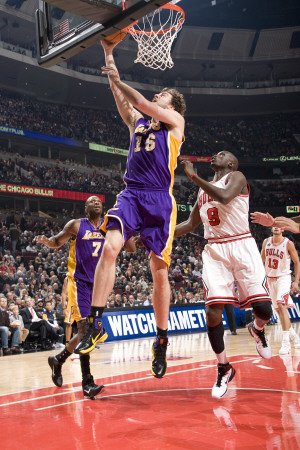 Los Angeles Lakers v Chicago Bulls: Pau Gasol and Luol Deng Photographic Poster Print by Andrew Bernstein, 28x42