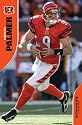 Cincinnati Bengals (Carson Palmer) Sports Poster Print - 24" X 36"