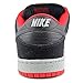 Nike Men's Dunk Low Pro SB Skateboarding Shoes