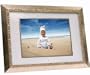 Digital Spectrum MemoryVUE Gallery MV-1700 Plus 17-Inch Digital Picture Frame (Gold)