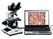 Digital Binocular Compound Microscope 40x-2000x with Built-in 3.0MP USB Digital Camera