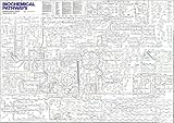 Image de Biochemical Pathways - Gerhard Michal, Editor, Third Edition Part 1 und Part 2