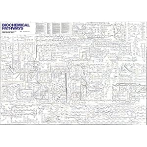 Biochemical Pathways - Gerhard Michal, Editor, Third Edition Part 1 und Part 2