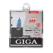 カーメイト GIGA ヘッドライトハロゲンバルブ ブライトマックス H3 BD315