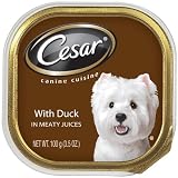 Cesar Canine Cuisine with of 24)