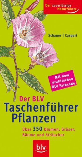 praktischen