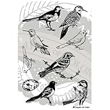 Layers Of Color LOC Backyard Birds Clear Designer Art Stamp Set 9 pieces for Mixed Media, Scrapbooking, and Classical Artistic Design made in USA