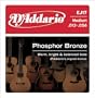 D'Addario EJ17 Phosphor Bronze Medium Acoustic Strings Single-Pack