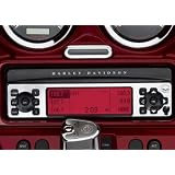 Harley Davidson Willie G Skull Radio Faceplate 77142-06 Touring by Harley-Davidson