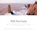 Wild Nova Scotia width=