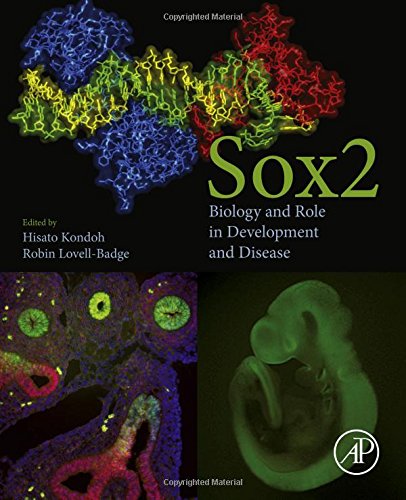 Sox2: Biology and Role in Development and Disease