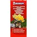 Michelin Map Slovenia, Croatia, Bosnia and Herzegovina, Serbia, Montenegro,  Yugoslavia, Republic Of Macedonia 736 (Maps/Country (Michelin))
