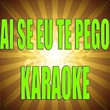 Ai Se Eu Te Pego (In the style of Michel Telo) (Karaoke)
