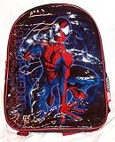Spiderman Book Bag