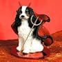 Cavalier King Charles Spaniel, Black/White Tiny Ones Dog Devil (2 1/2 in)