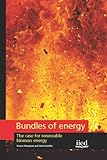 Bundles of energy : the case for renewable biomass energy