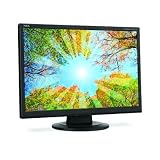 NEC Display Solutions AS191WM-BK 19-Inch 5ms 250 cd/m2 1000:1 Widescreen LCD Monitor (Black)