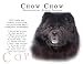 Chow Chow BLACK Human Trainer Mouse Pad Dog Mousepad