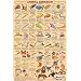 (24x36) Animal Kingdom 2 Educational Science Chart Poster