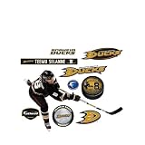 NHL Anaheim Ducks Teemu Selanne Wall Graphic
