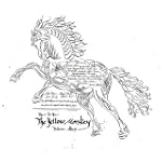 THIS IS FOR YOU~THE YELLOW MONKEY TRIBUTE ALBUM