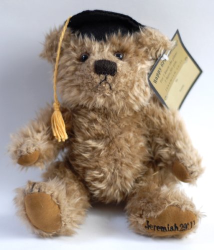 Graduation Bear