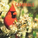 Cardinals 2009 Square Wall Calendar