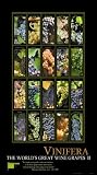 VINIFERA, The World's Great Wine Grapes, Wine Poster