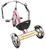  Schwinn Roadster 12-Inch Trike (Pink)