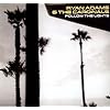 Follow the Lights [Vinyl]