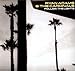 Follow the Lights [Vinyl]
