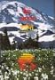Nepali New Testament: Easy-To-Read Version