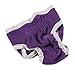 ColorPet Washable Dog Wraps Cute Pet Dog Health Pant Diaper - Big Dog Pants Wrap Band Nursing Reusable -Durable Dog Diapers for both Male and Female Pets, Small Pack of 3