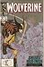 Book Wolverine #16 (The Gehenna Stone Affair Part 6 of 6) Mid Nov. 1989