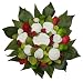 The Baby Bunch Holiday Bunch White 6 to 12 Months