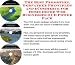 The Best Promotion, Godfather Principles and eCommerce for Home Decor Web Businesses 3 CD Power Pack