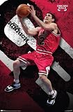 Chicago Bulls (Kirk Hinrich) Sports Poster Print - 24