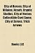 City of Heroes: City of Villains, Ncsoft, Cryptic Studios, City of Heroes Collectible Card Game, City of Zeroes, Trick Arrows bei amazon kaufen