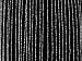 Kitchen & Housewares : Present Time Curtain beads glass transp./white/silver
