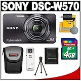 Sony Cyber-Shot DSC-W570 Digital Camera (Black) with 4GB Card + Case + Acce ....