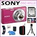 Sony Cyber-shot DSC-W610 14.1 MP Digital Camera with 4x Optical Zoom and 2.7-Inch LCD in Pink + 4GB SDHC + Sony Case + Accessory Kit