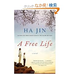 A Free Life (Vintage International)