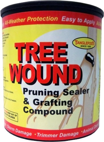 Tanglefoot 300000529 1-Pint Tree Wound Pruning Sealer and Grafting Compound Tanglefoot 300000529 1-Pint Tree Wound Pruning Sealer and Grafting Compound