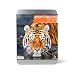 Gift Republic , Adopt A Big Cat Gift Box