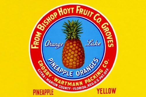 Orange Lake Pineapple Oranges, 44x66 Canvas Giclée Print, Gallery Wrap, Heavy Duty Museum Size
